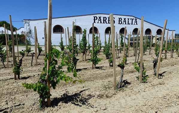 PB - winery